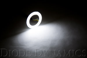 Halo Lights LED 50mm White Pair Diode Dynamics