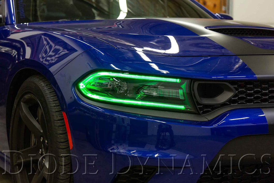 2019 Dodge Charger Multicolor LED Boards Diode Dynamics