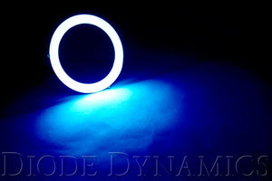 Halo Lights LED Blue Pair Diode Dynamics